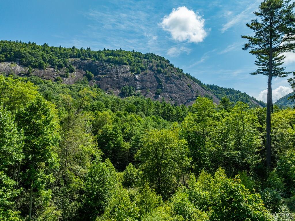 640 Wade Road Cashiers, NC 28717 - Photo 4 of 73 Gallery Image 4