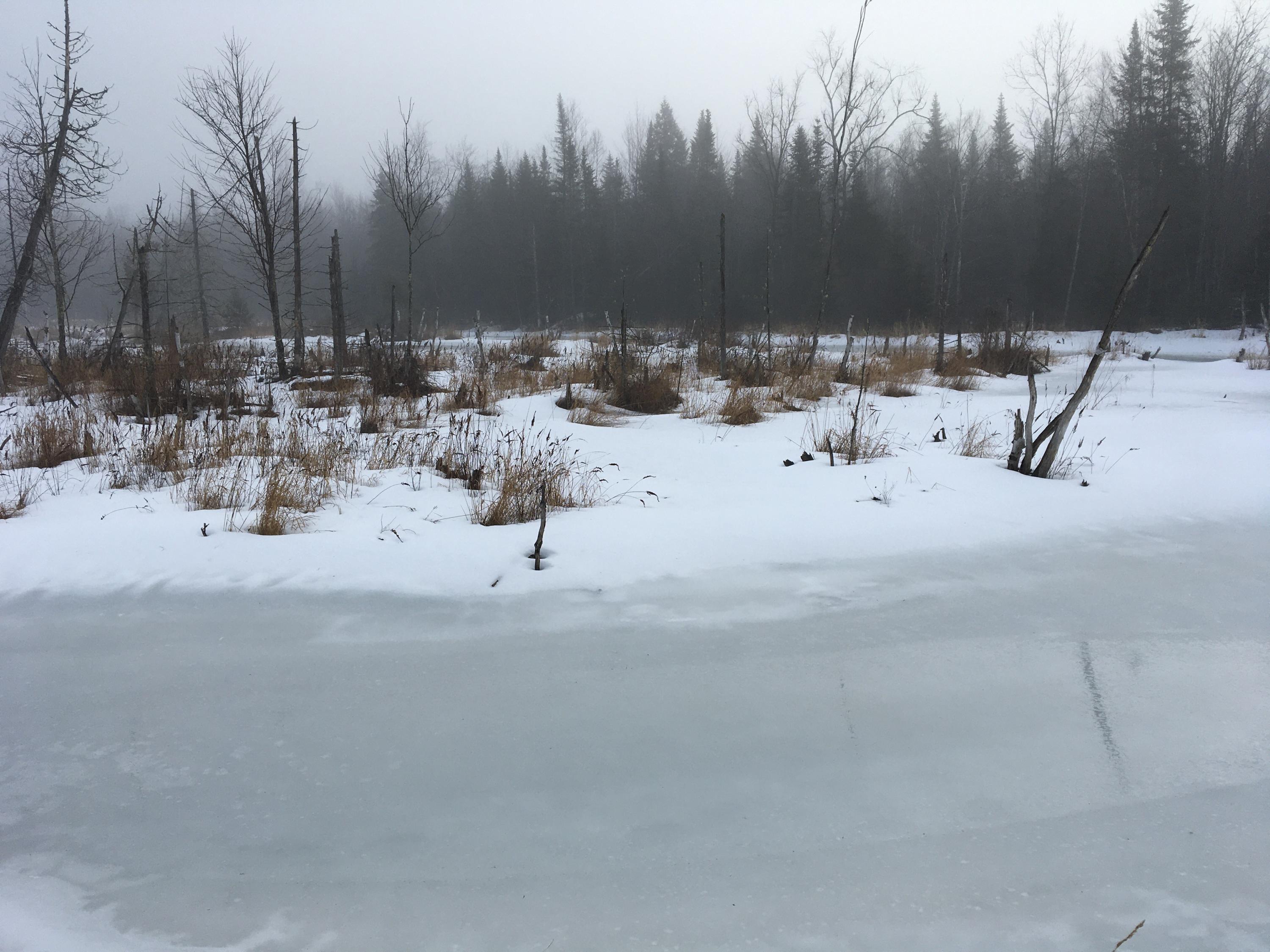 Lot 8 Johnson Flat Road Pittsfield, ME 04967 - Photo 11 of 15 Photo Mar 03, 8 21 20 AM