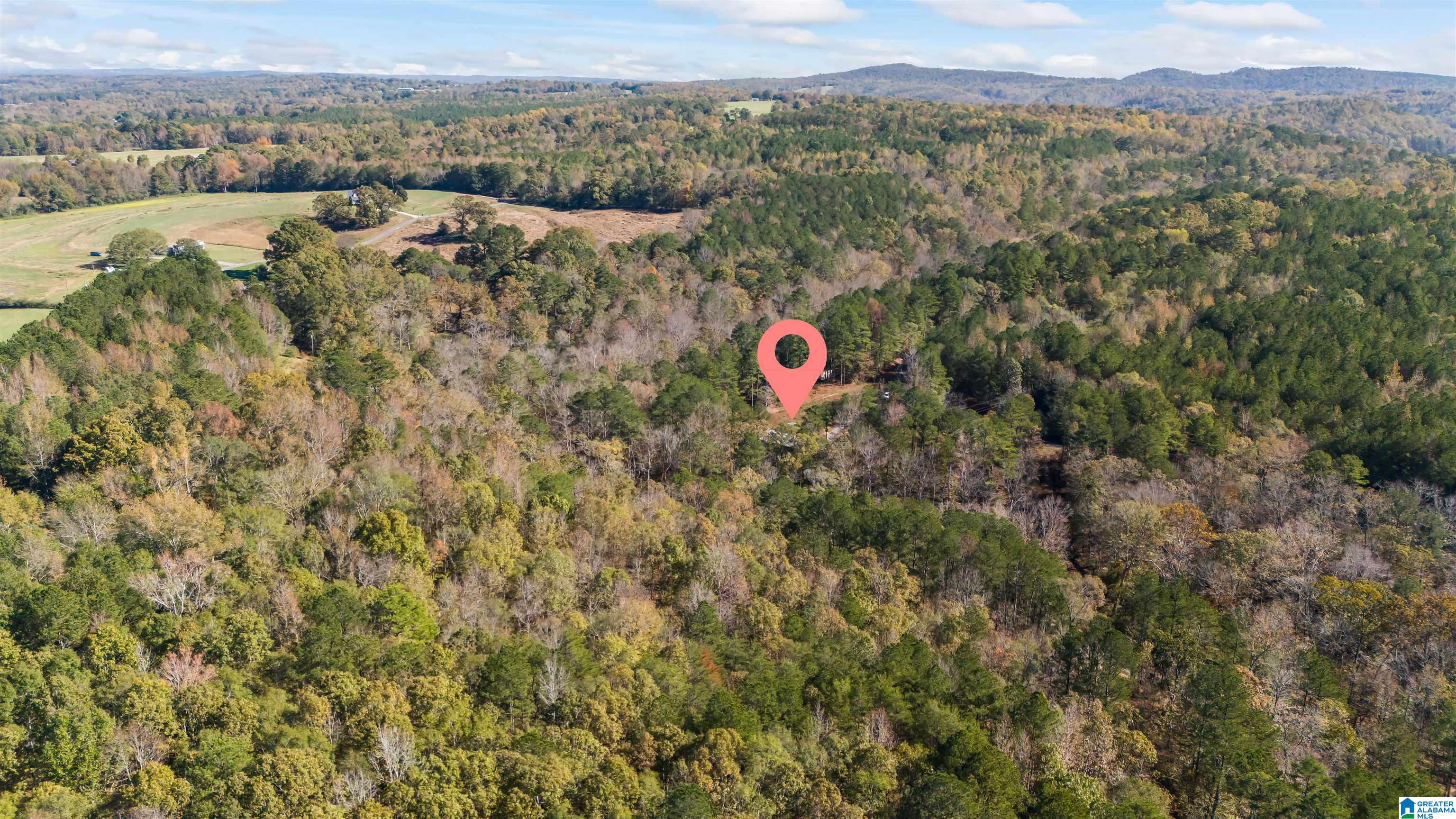 1078 Chamblee Mill Road Blountsville, AL 35031 - Photo 20 of 25