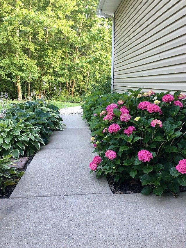 3026 North Bend Road Stanton, KY 40380 - Photo 8 of 23 Photo 8