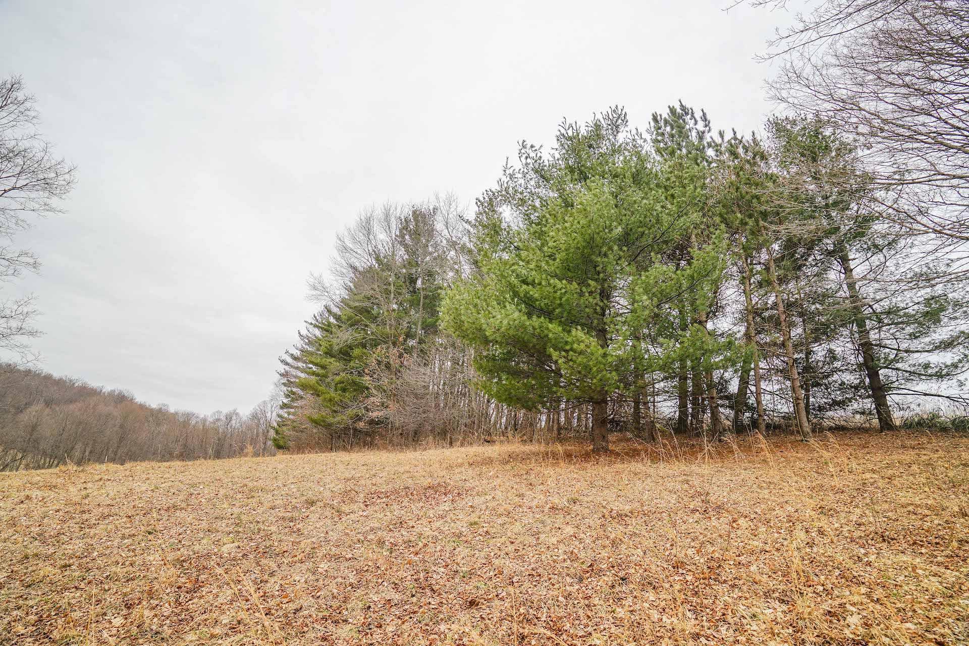 10863 Oldaker Road St. Louisville, OH 43071 - Photo 8 of 55