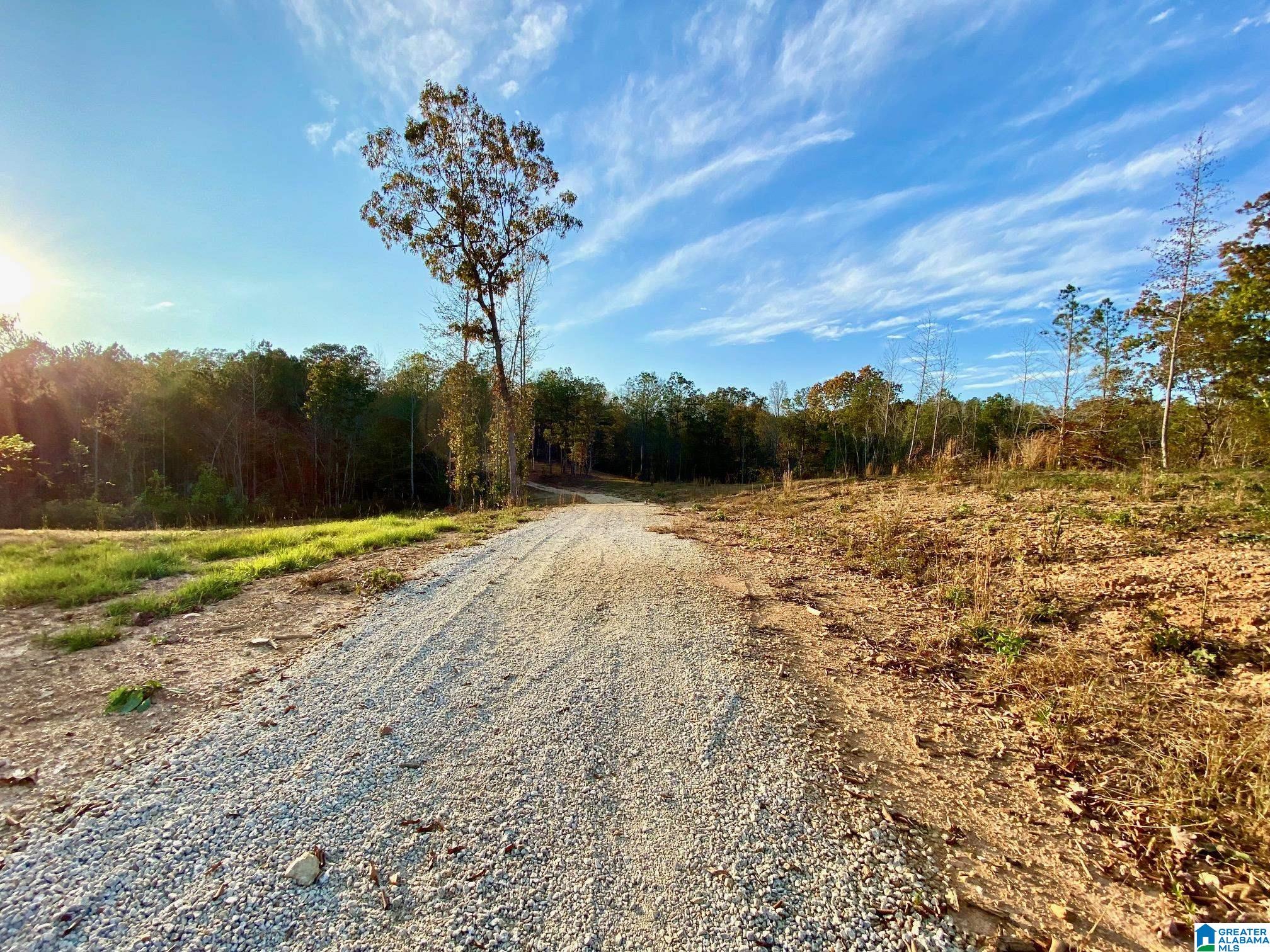 325 County Road 13 Heflin, AL 36264 - Photo 15 of 56