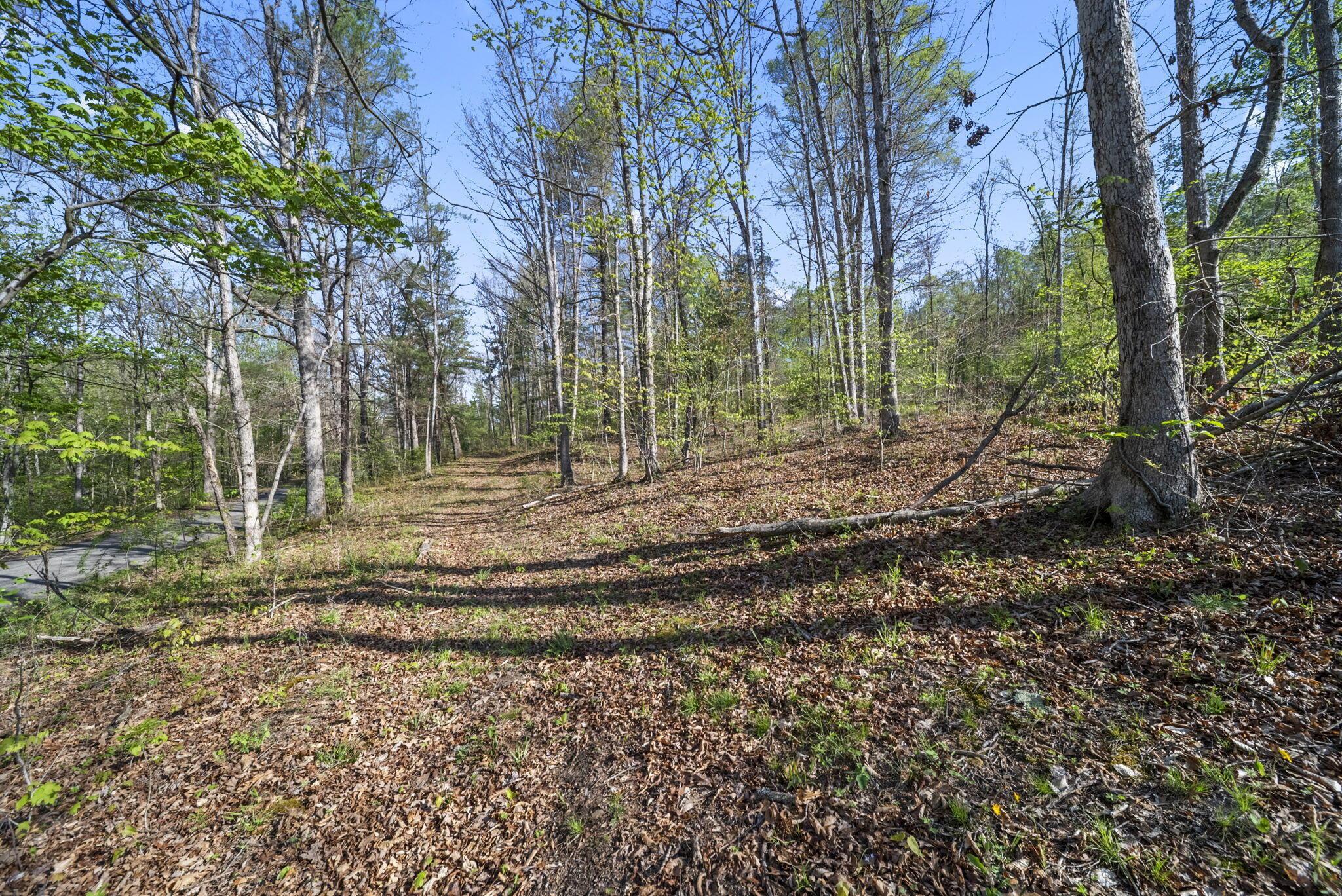 1588 Debord Road Chillicothe, OH 45601 - Photo 3 of 33 2-web-or-mls-DSC03940