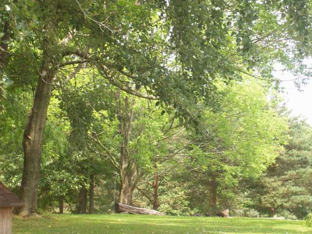 5002 High Point Road Glenford, OH 43739 - Photo 18 of 18 Gallery Image 18