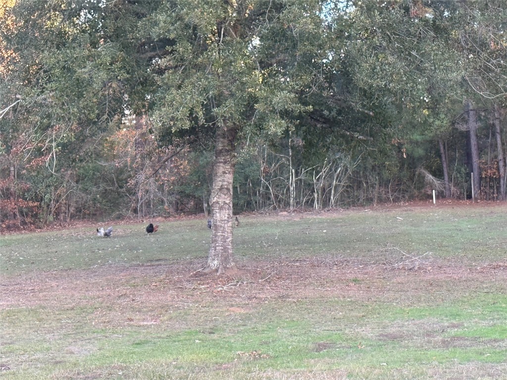 3074 South Fm 1486 Road Montgomery, TX 77316 - Photo 13 of 15