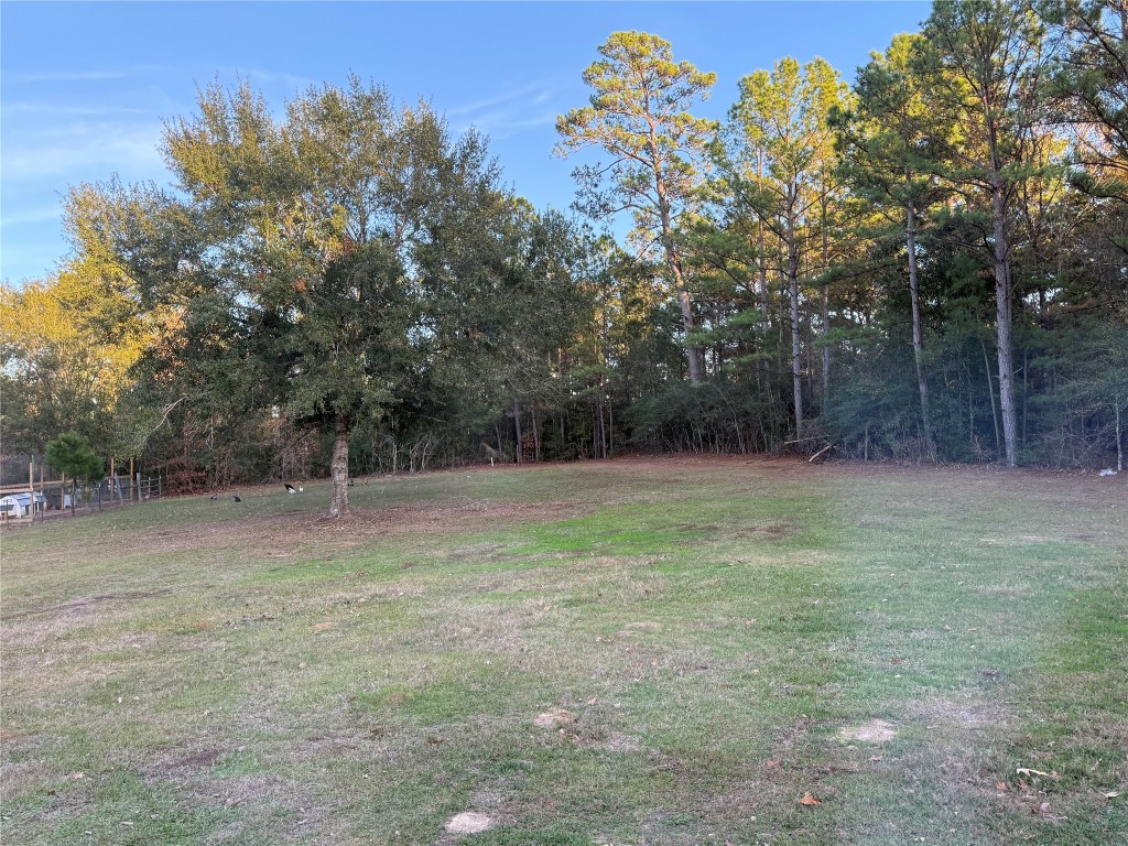 3074 South Fm 1486 Road Montgomery, TX 77316 - Photo 14 of 15