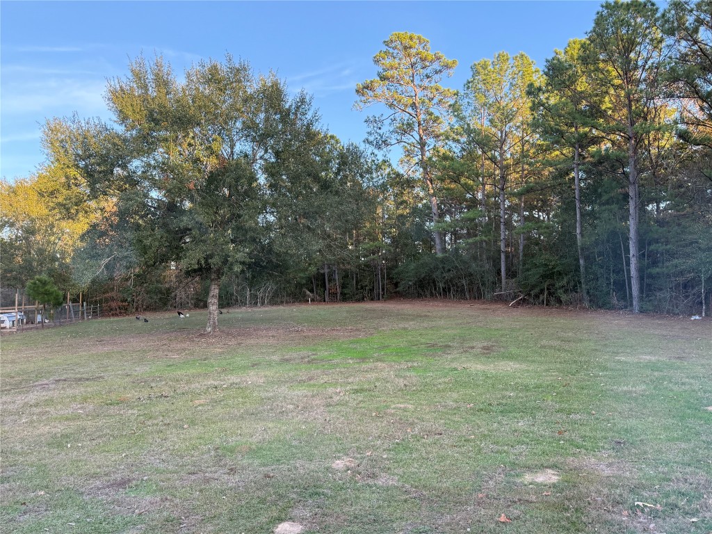 3074 South Fm 1486 Road Montgomery, TX 77316 - Photo 2 of 15