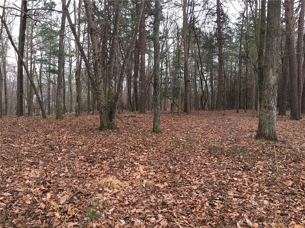 Lot 82 Ridge Crest Court Ellijay, GA 30540 - Photo 1 of 1 Gallery Image 1