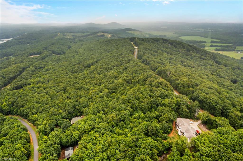 2261 Sierra Trace Road Denton, NC 27239 - Photo 8 of 24