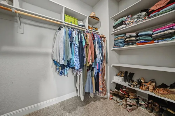 a room with furniture a rug and a potted plant