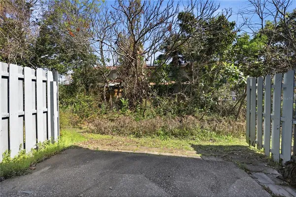 a view of backyard with plants and trees