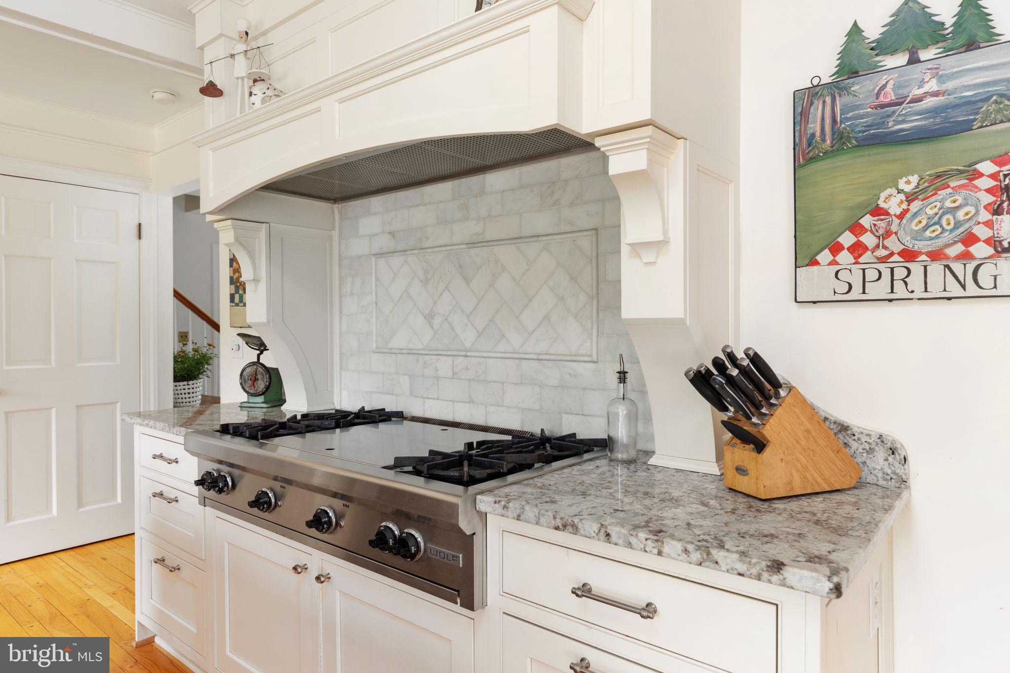 23432 Dover Road Middleburg, VA 20117 - Photo 14 of 48 Marble back splash behind pro series Wolf cooktop