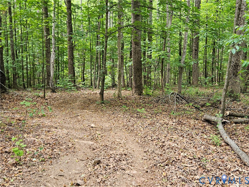 981 Scotts Bottom Road Dillwyn, VA 23936 - Photo 66 of 73 Gallery Image 66
