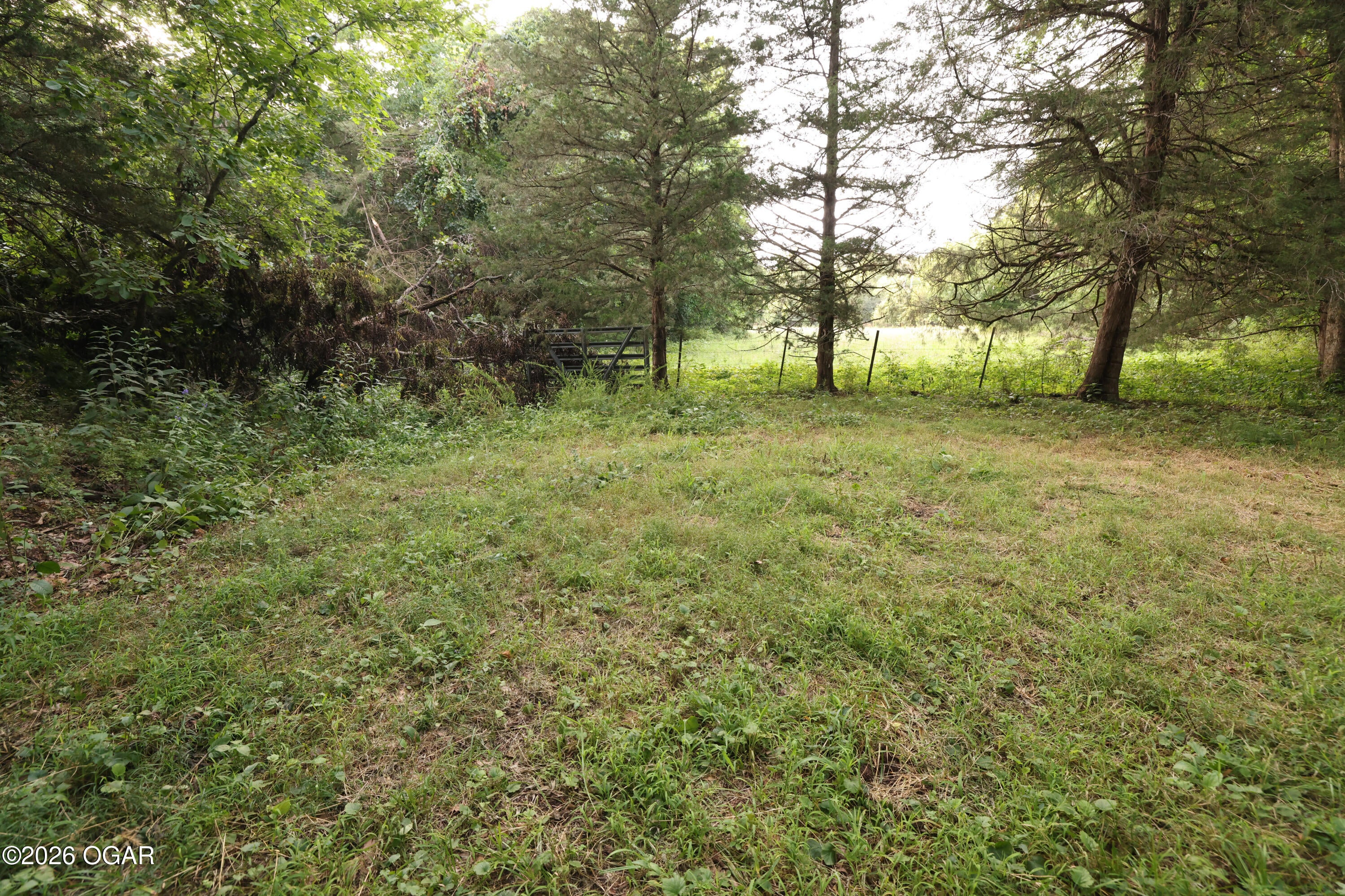 861 Tilden Road Galena, MO 65656 - Photo 47 of 67 Gallery Image 47