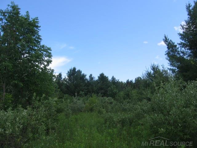 Tbd Burns Line Croswell, MI 48422 - Photo 6 of 19