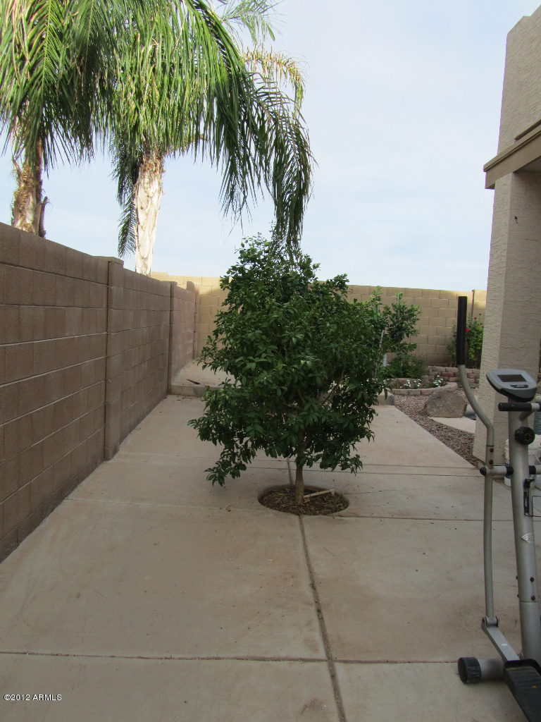 1009 South Roles Drive Gilbert, AZ 85296 - Photo 49 of 49 Sideyard3