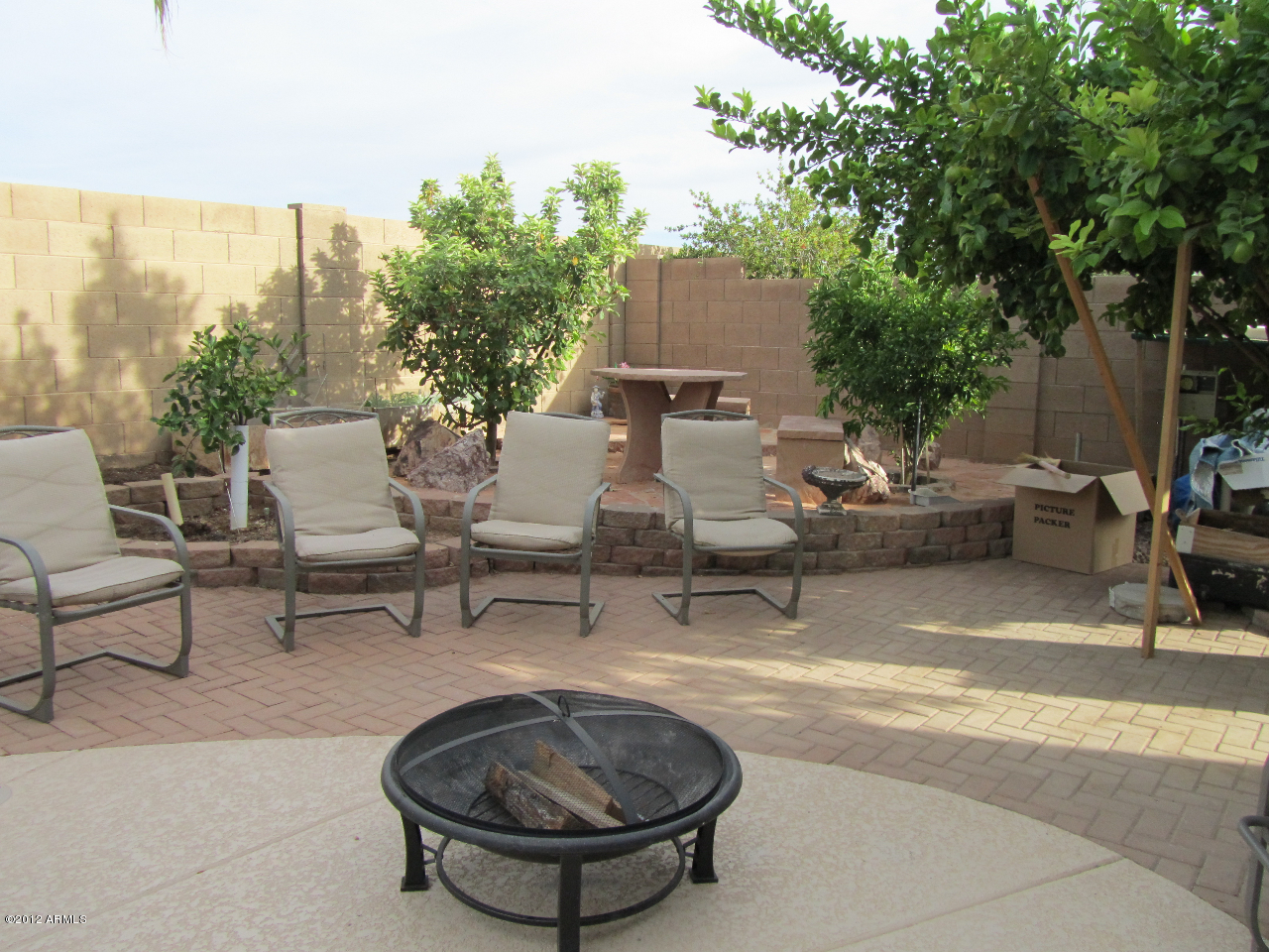 1009 South Roles Drive Gilbert, AZ 85296 - Photo 8 of 49 Back3