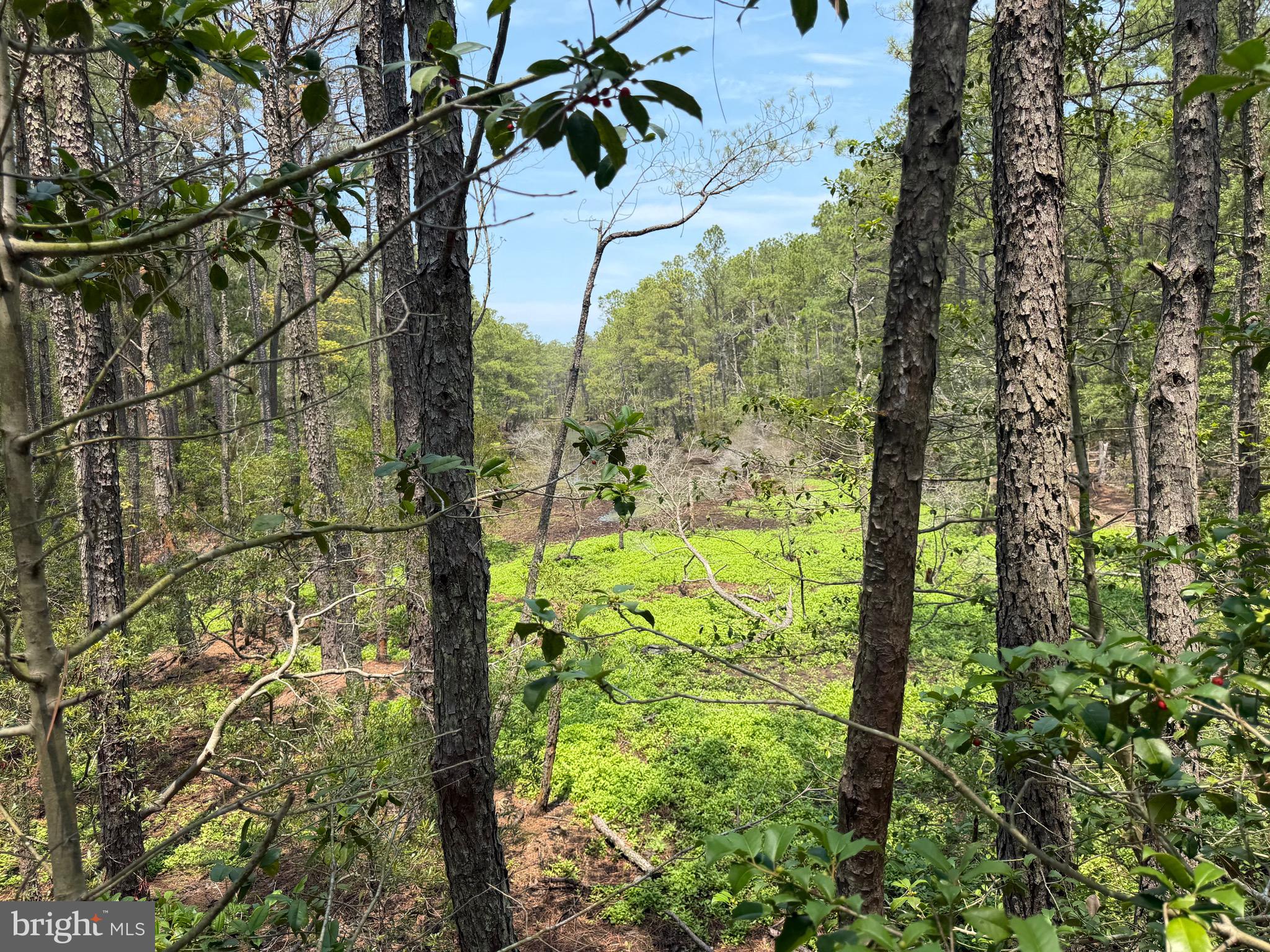 0 Hooper Neck Road Madison, MD 21648 - Photo 109 of 129