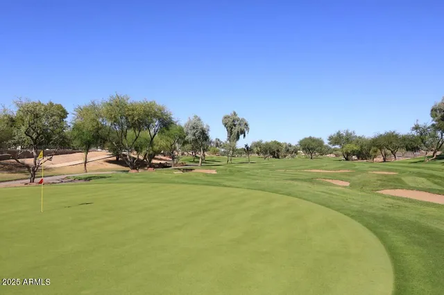 a view of a field of grass and trees