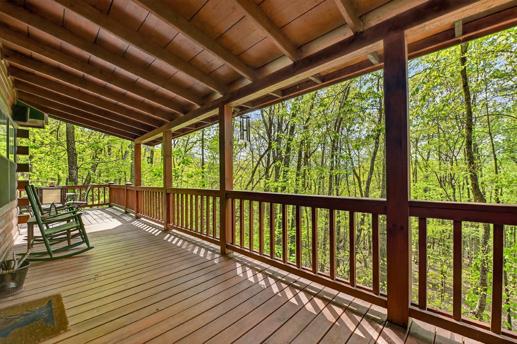 660 Ripshin Mountain Road Blue Ridge, GA 30513 - Photo 20 of 40