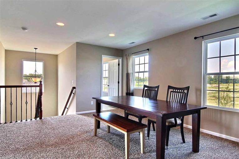 13193 Cleveland Street Crown Point, IN 46307 - Photo 15 of 21 Gallery Image 15
