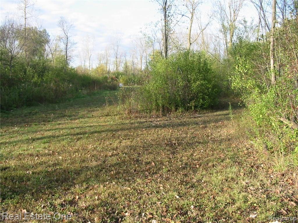 7055 Sheldon Road Belleville, MI 48111 - Photo 64 of 74 IMG_6438.JPG