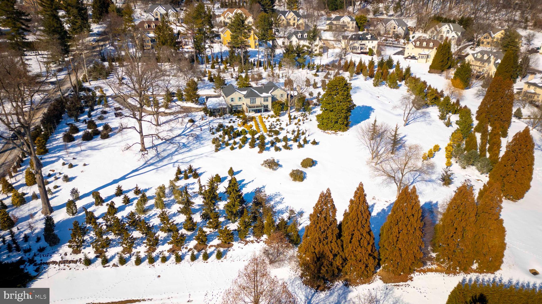 1260-2 County Line Road Wayne, PA 19087 - Photo 14 of 14 a view of covered with large tree