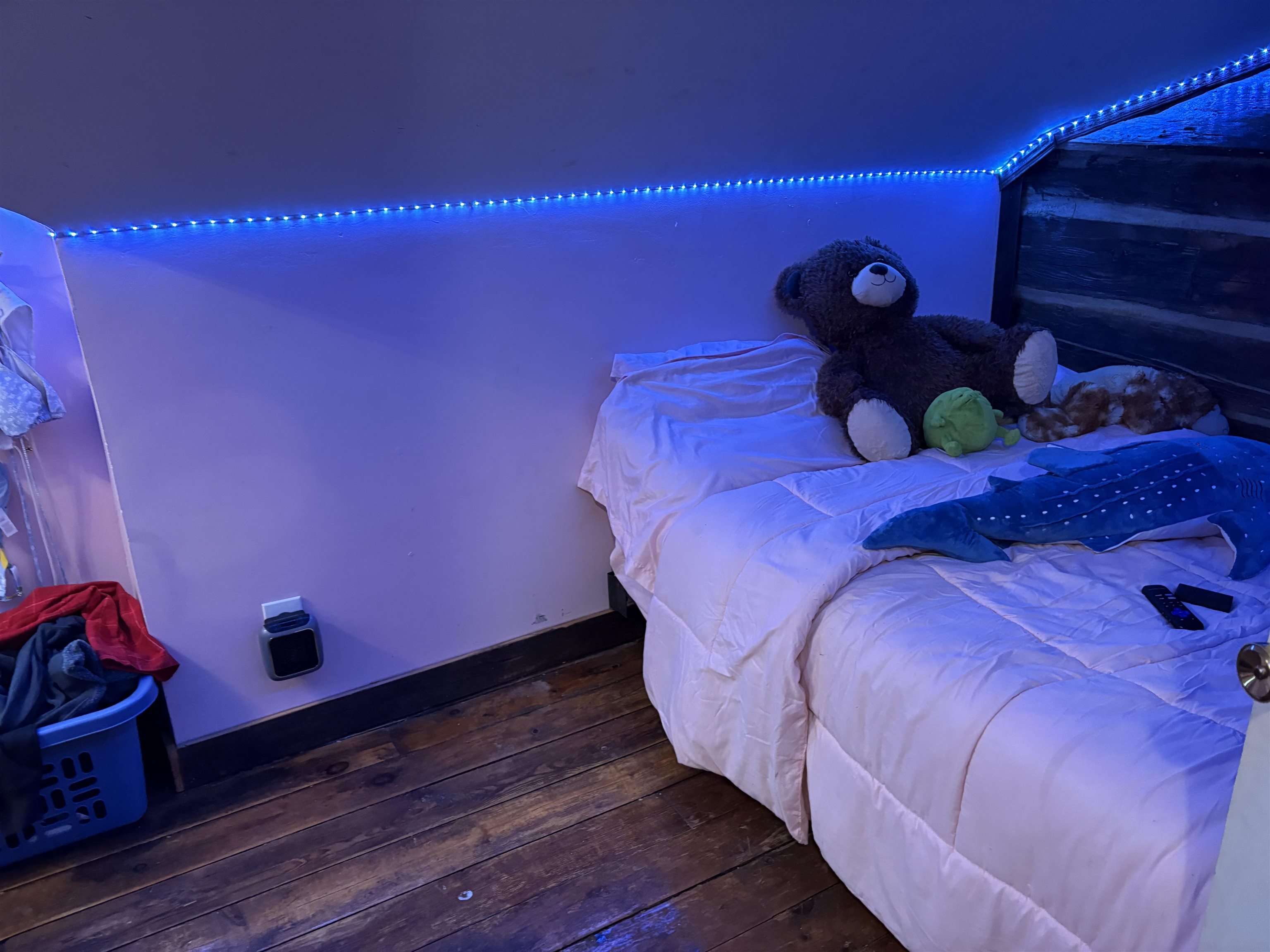 1446 County Rd Z Arkdale, WI 54613 - Photo 17 of 29