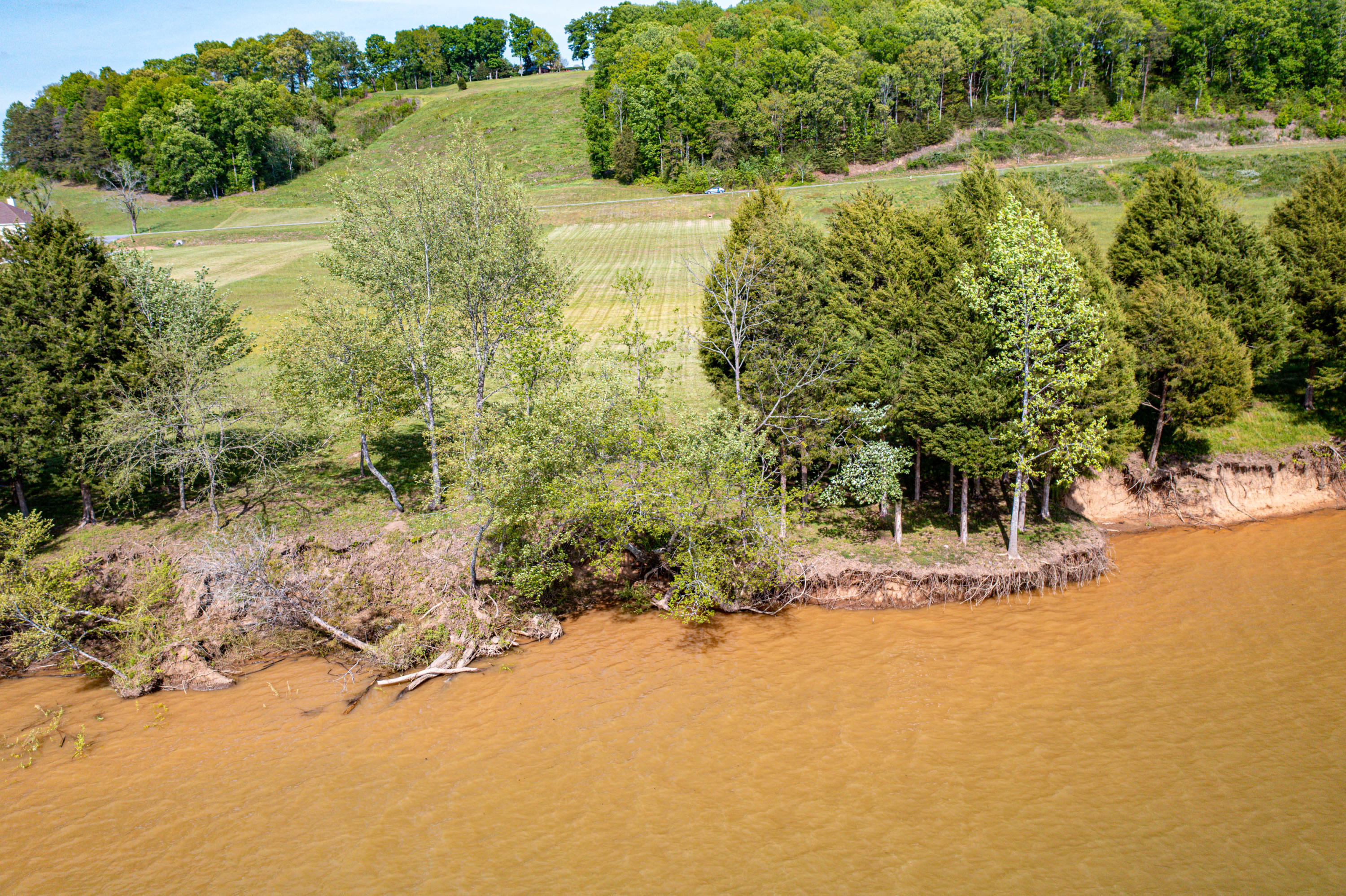 60 Espalier Drive Decatur, TN 37322 - Photo 7 of 24 60 Espalier Drive-10