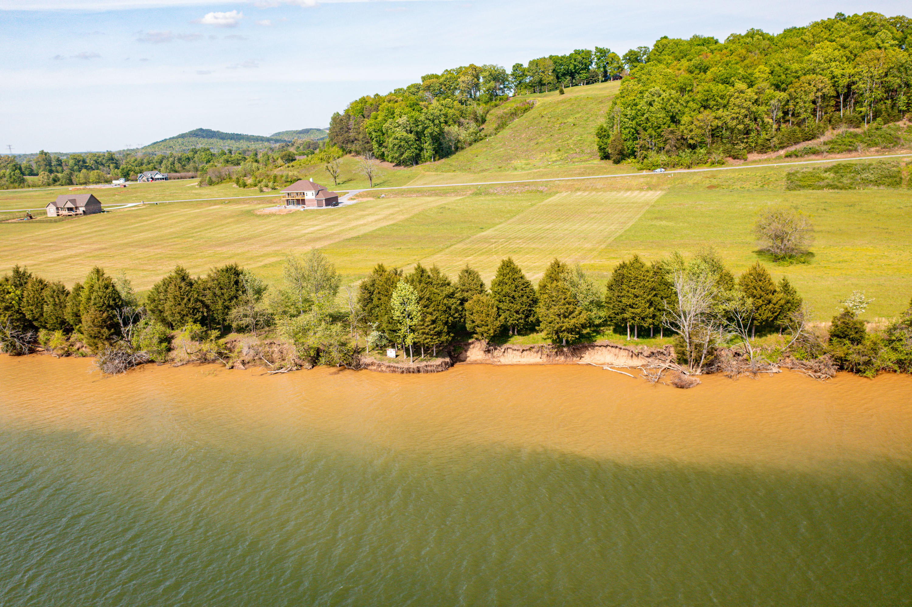 60 Espalier Drive Decatur, TN 37322 - Photo 9 of 24 60 Espalier Drive-8