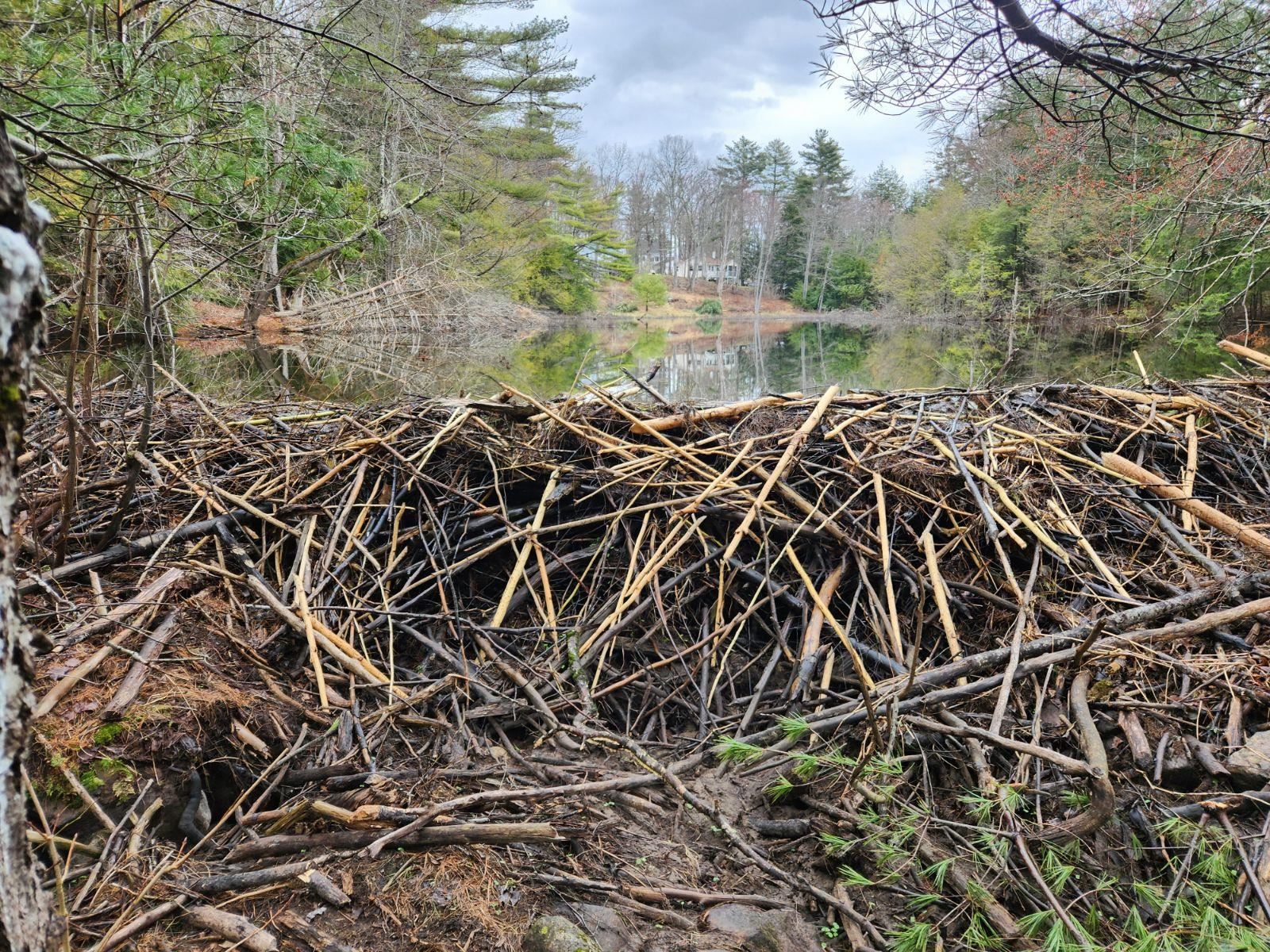 122 Map Off Sawyer Lake Road Gilmanton, NH 03237 - Photo 4 of 22