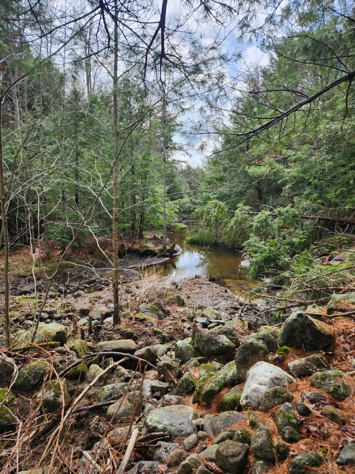 122 Map Off Sawyer Lake Road Gilmanton, NH 03237 - Photo 6 of 22