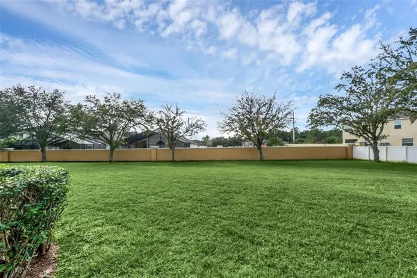 a view of a field of grass and trees