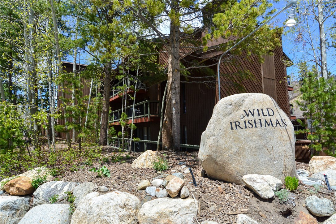 423 Wild Irishman Road, Unit 1007 Keystone, CO 80435 - Photo 14 of 19 Gallery Image 14