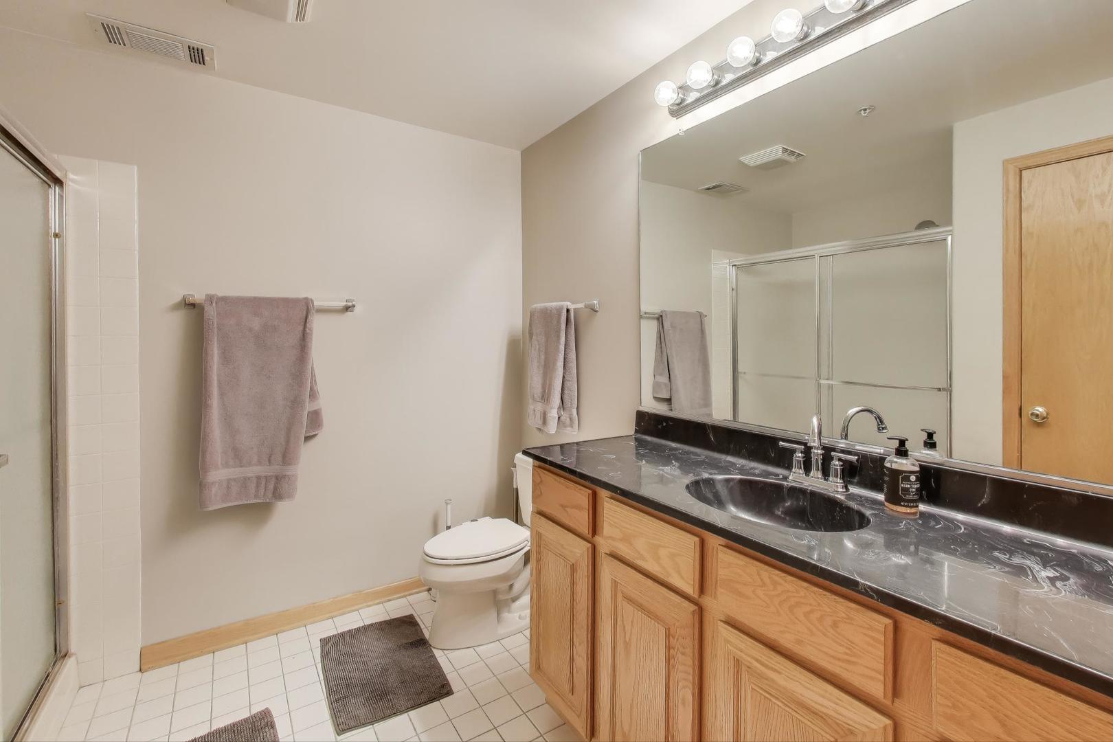 1715 Pavilion Way, Unit 206 Park Ridge, IL 60068 - Photo 12 of 19 a bathroom with a granite countertop sink a toilet and a mirror