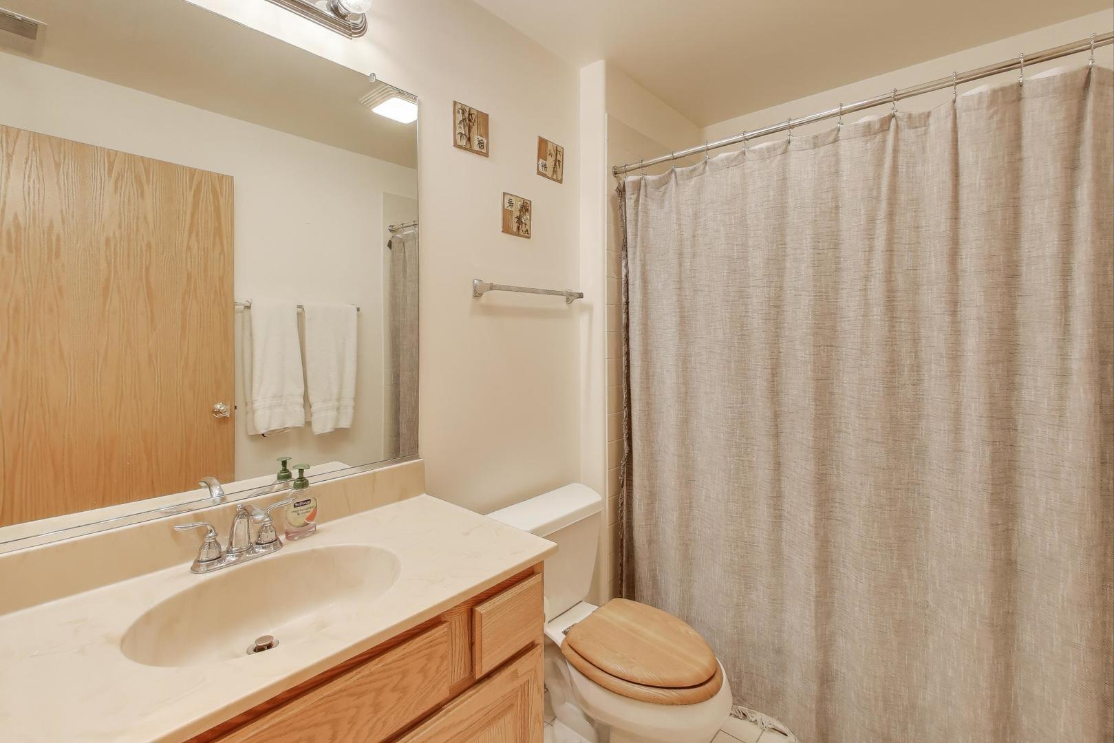 1715 Pavilion Way, Unit 206 Park Ridge, IL 60068 - Photo 15 of 19 a bathroom with a sink a toilet a mirror and shower curtain