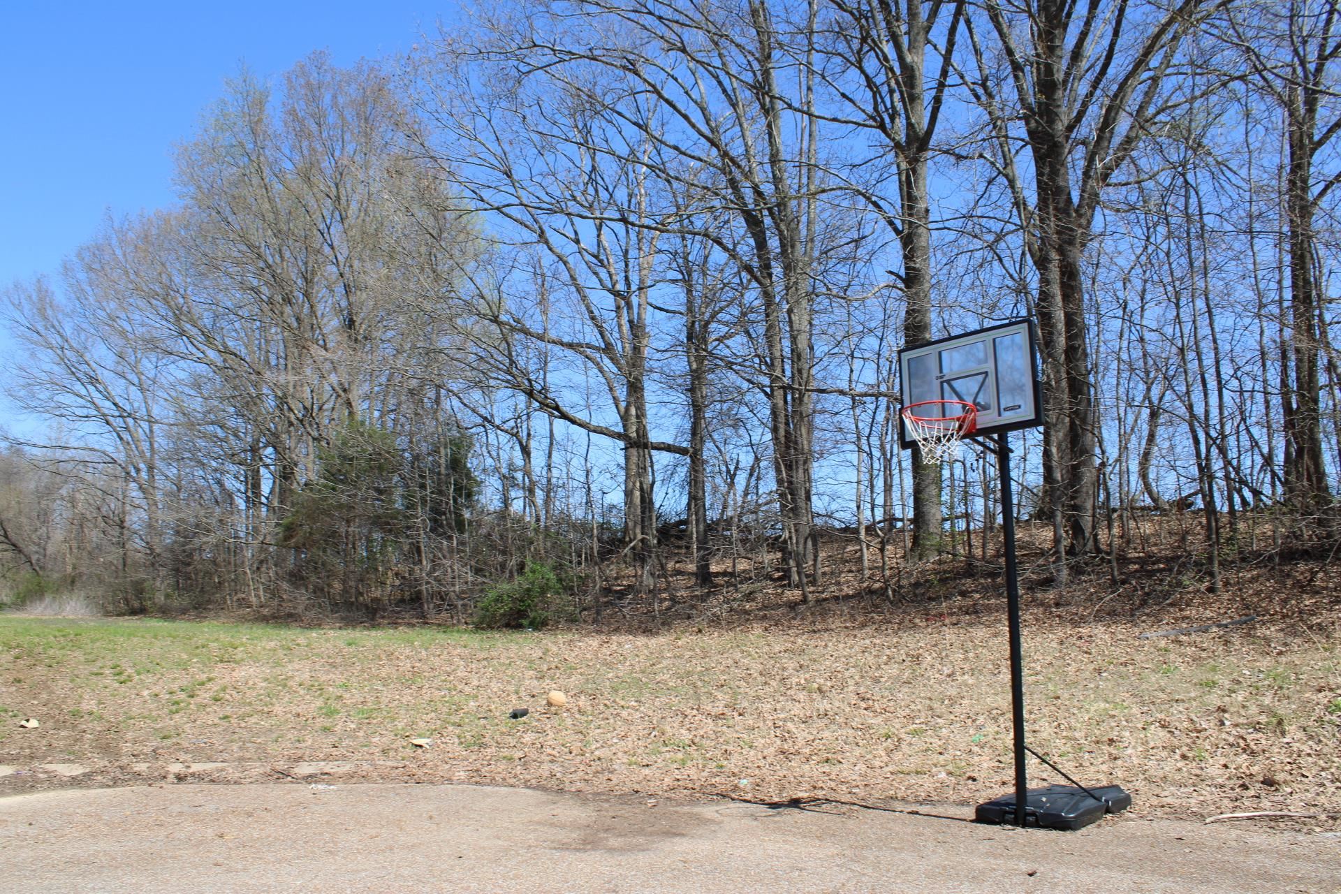 Lot 25 Walnut Ridge Ripley, TN 38063 - Photo 1 of 5 a street view with large trees