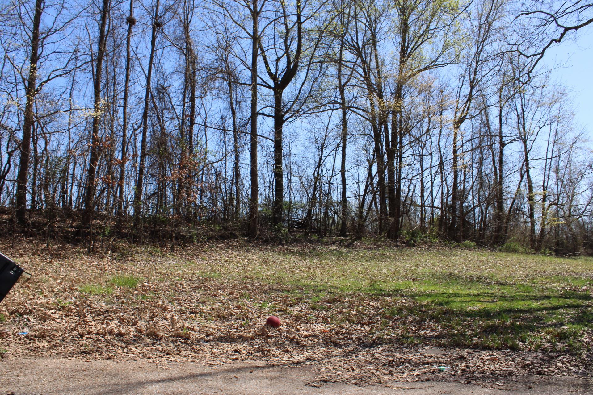 Lot 25 Walnut Ridge Ripley, TN 38063 - Photo 3 of 5 a view of backyard with green space