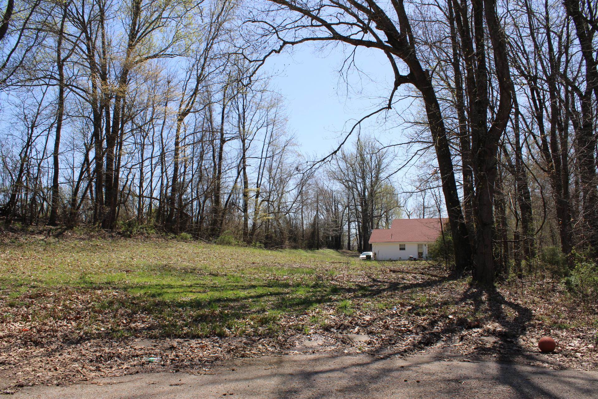 Lot 25 Walnut Ridge Ripley, TN 38063 - Photo 4 of 5 a backyard of a house with lots of green space