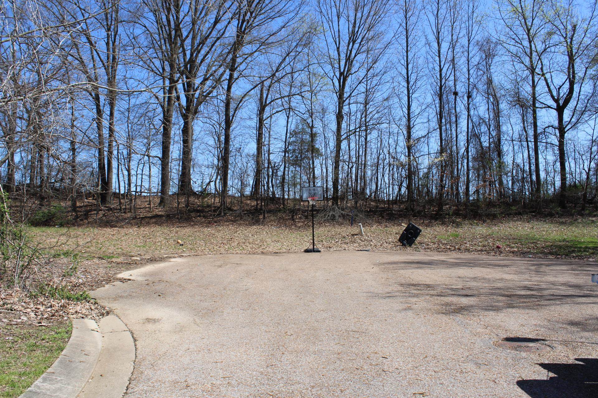 Lot 25 Walnut Ridge Ripley, TN 38063 - Photo 5 of 5 a view of a yard with a tree
