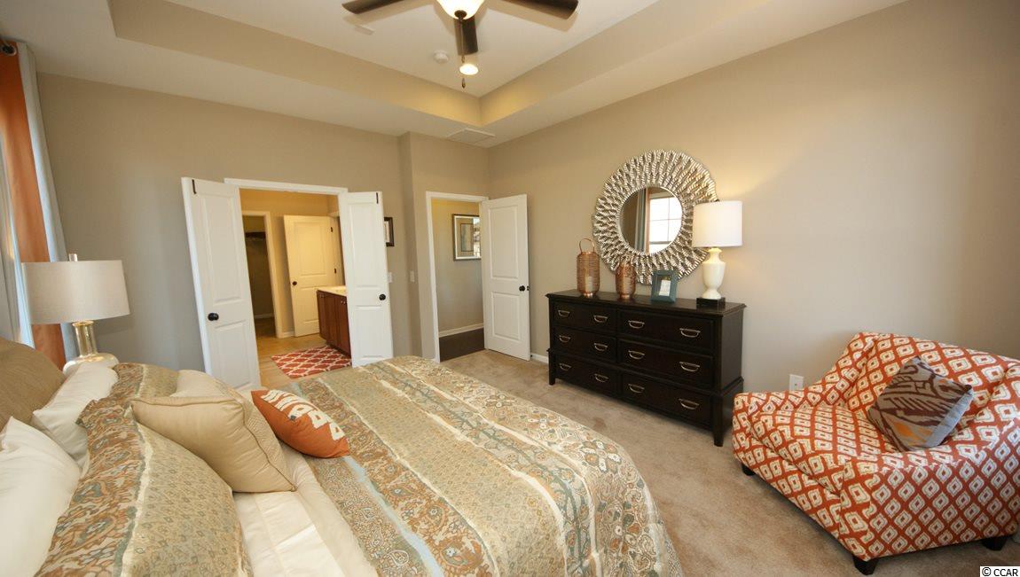 245 Hyacinth Loop Murrells Inlet, SC 29576 - Photo 22 of 25 Gallery Image 22