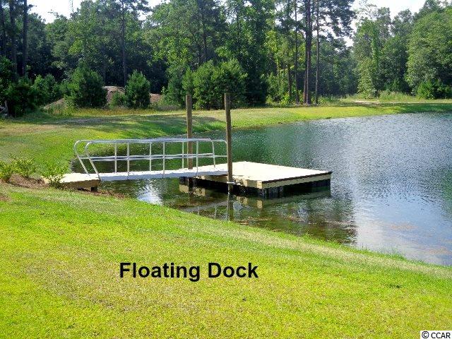 245 Hyacinth Loop Murrells Inlet, SC 29576 - Photo 4 of 25 Gallery Image 4