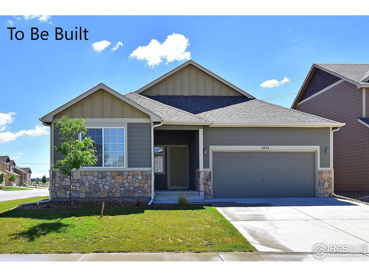 2439 Ravi Street Windsor, CO 80550 - Photo 1 of 39 Gallery Image 1