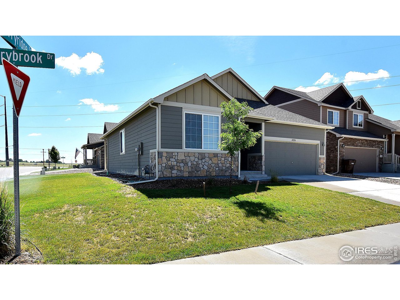 2439 Ravi Street Windsor, CO 80550 - Photo 3 of 39 Gallery Image 3