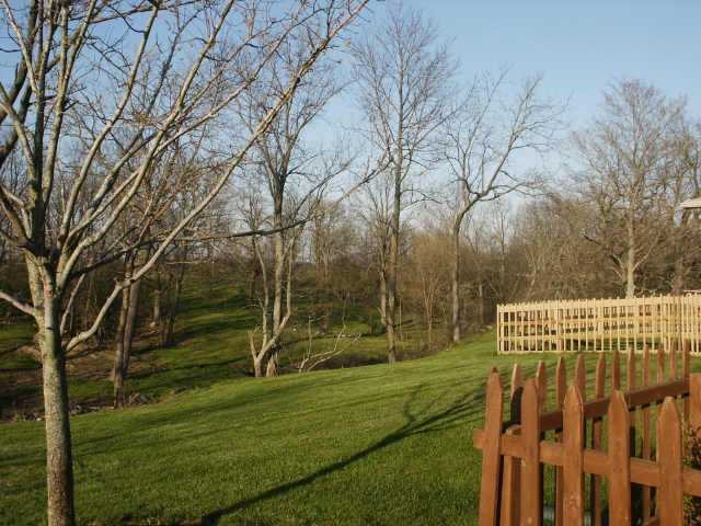 14306 London Road Orient, OH 43146 - Photo 5 of 10 Gallery Image 5