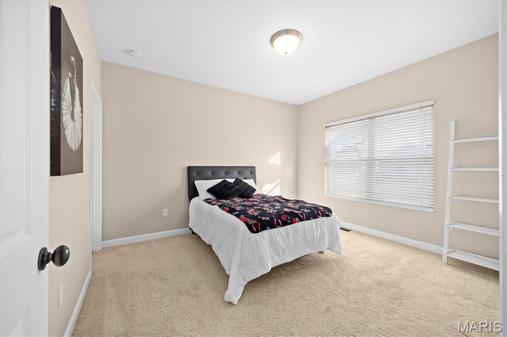 1109 Macintosh Court O'Fallon, IL 62269 - Photo 18 of 49