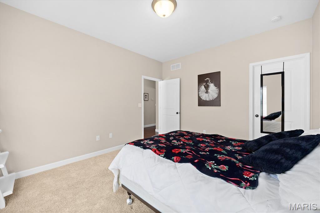 1109 Macintosh Court O'Fallon, IL 62269 - Photo 19 of 49