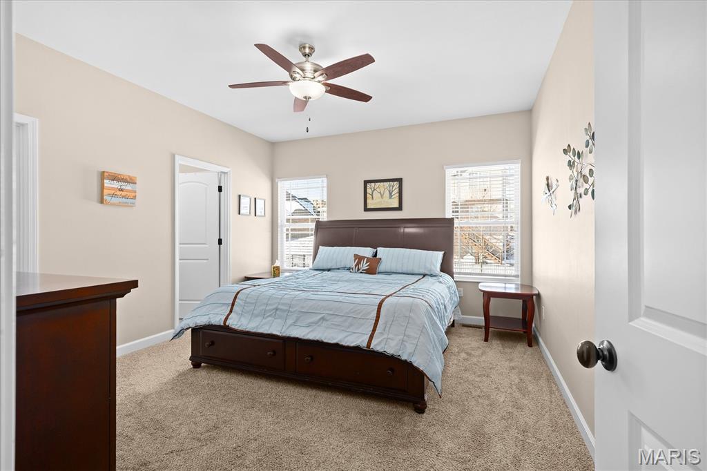 1109 Macintosh Court O'Fallon, IL 62269 - Photo 22 of 49