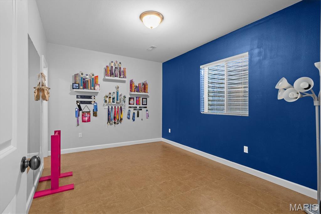 1109 Macintosh Court O'Fallon, IL 62269 - Photo 30 of 49