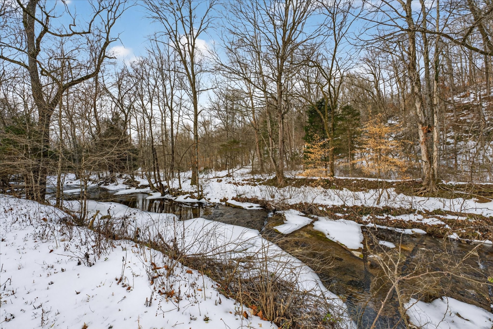3712 Budds Creek Road Palmyra, TN 37142 - Photo 13 of 26 a view of swimming pool with a patio